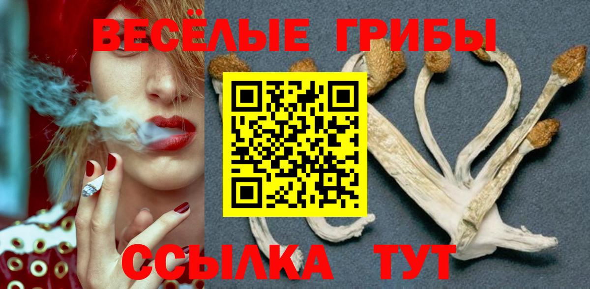 Выборг  Галлюциногенные грибы Magic Shrooms  Вход с VPN  продажа наркотиков  Псилоцибиновые грибы MAGIC MUSHROOMS 